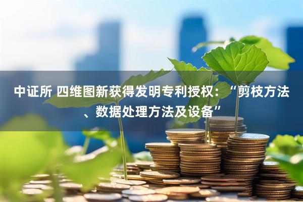 中证所 四维图新获得发明专利授权：“剪枝方法、数据处理方法及设备”