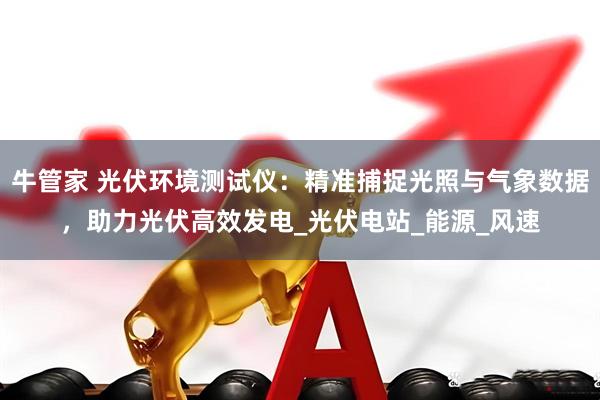 牛管家 光伏环境测试仪：精准捕捉光照与气象数据，助力光伏高效发电_光伏电站_能源_风速