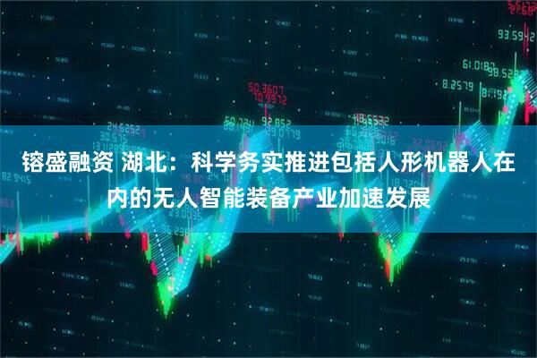 镕盛融资 湖北：科学务实推进包括人形机器人在内的无人智能装备产业加速发展