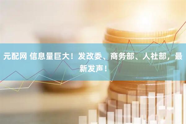 元配网 信息量巨大！发改委、商务部、人社部，最新发声！