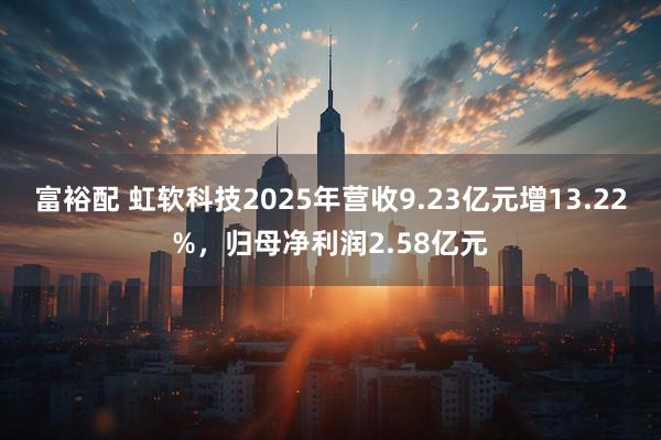 富裕配 虹软科技2025年营收9.23亿元增13.22%，归母净利润2.58亿元